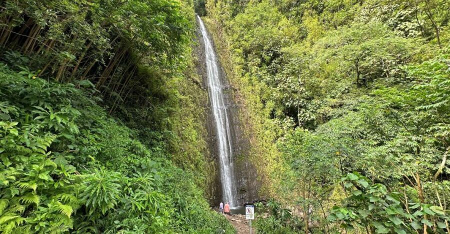 Manoa Falls eBike to Hike - Mānoa Falls hike: the short trail that still demands smart footing