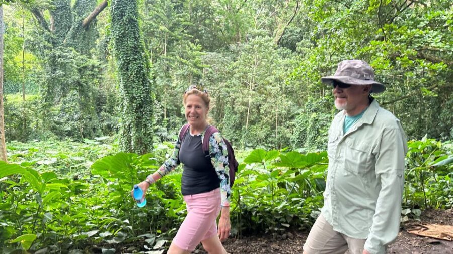 Manoa Falls eBike to Hike - Who this tour fits (and who should skip it)