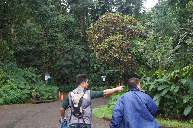 Manoa Falls Rainforest & Self-Guided Hike - Manoa Falls: Why This Rainforest Hike Fits a Half-Day in Oahu