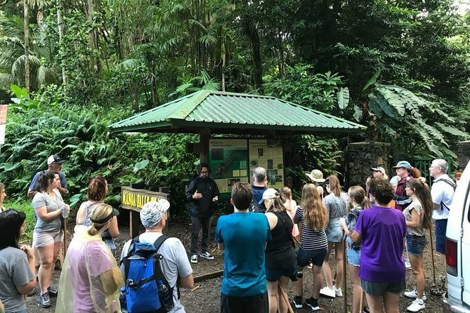 Manoa Falls Rainforest & Self-Guided Hike - Waikiki Shuttle Value: What Transportation Changes in Your Day
