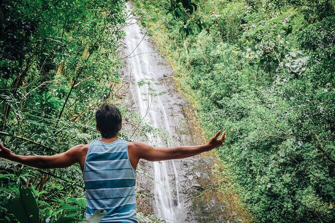 Manoa Waterfall Hike with Waikiki Pickup & Healthy Lunch - From Waikiki pickup to Manoa Valley: the easy start that matters