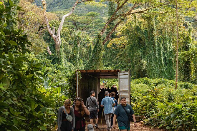 Manoa Waterfall Hike with Waikiki Pickup & Healthy Lunch - Who should book this Manoa Falls hike, and who might pass