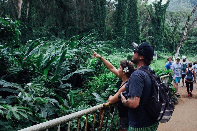 Manoa Waterfall Hike with Waikiki Pickup & Healthy Lunch - Should you book this Waikiki-to-Manoa Falls tour?