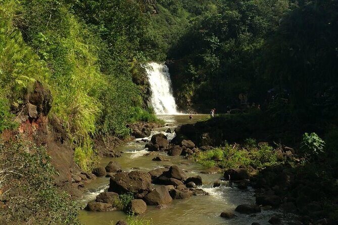North Shore day,Waterfalls and Turtles Tour - After the Waterfall: Holly Eva Lunch and a Real Local-Market Break