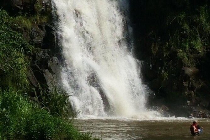 North Shore day,Waterfalls and Turtles Tour - Price and Logistics: Is $150 Worth It?