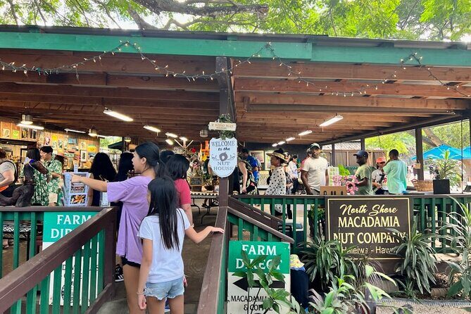 North Shore Dole Pineapple Farm Tour - Price and value: what $157 buys you (and what it doesn’t)