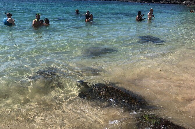 North Shore / Waimea, Falls Day & Swim with Turtles - Pacing, comfort, and what moderate fitness really means