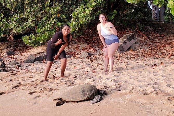 Northshore ocean adventure and circle islandJeep Tour- Guaranteed to see turtles - Sunset Beach: Winter Swell Energy and Photo-Worthy Cliffs