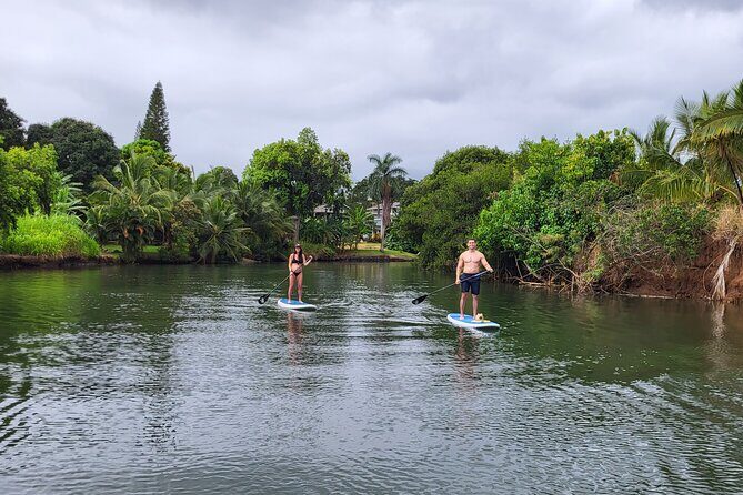 Northshore ocean adventure and circle islandJeep Tour- Guaranteed to see turtles - Nuuanu Pali Lookout: Windward Coastpanorama Time