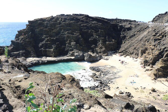 Oahu Circle Island Small Group Tour - Giovanni’s Shrimp Truck Lunch and the North Shore Views