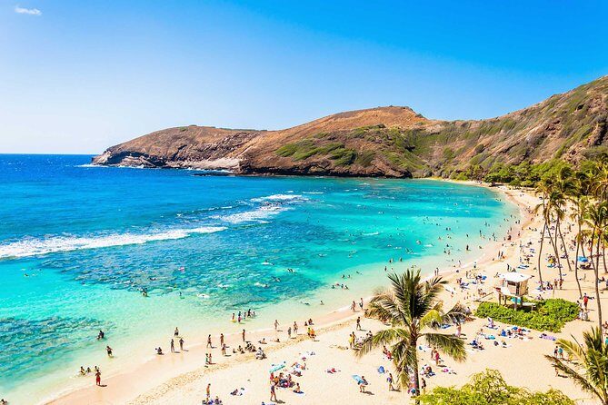 Oahu Circle Island Tour - Why This Oahu Circle Island Route Works Without a Rental Car