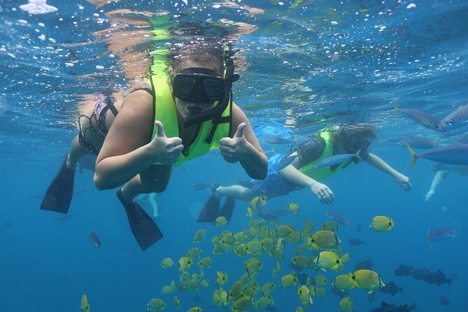 Oahu Dolphin and Snorkel Tour with Waikiki Pickup & Lunch - Getting From Waikiki to Waianae: Time You Should Budget