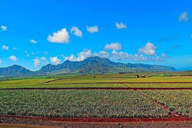 Oahu Grand Circle Island Experience from Waikiki - Kualoa Regional Park and Chinaman’s Hat: the photo that keeps paying off