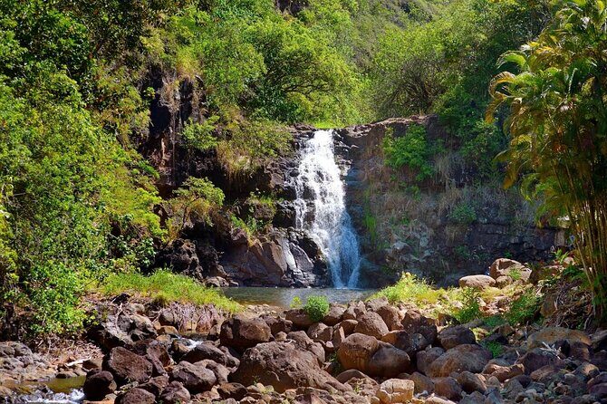 OAHU GRAND CIRCLE Waimea Waterfall, Turtle Beach, North Shore. - Haleiwa food trucks and the coast drive back to Honolulu