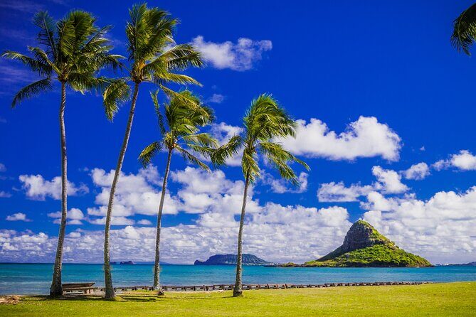 Oahu: Grand Tour Around Island 16 Locations plus Snorkeling - Diamond Head, Halona Blowhole, and Makapuʻu: Classic East Oʻahu in Compact Time