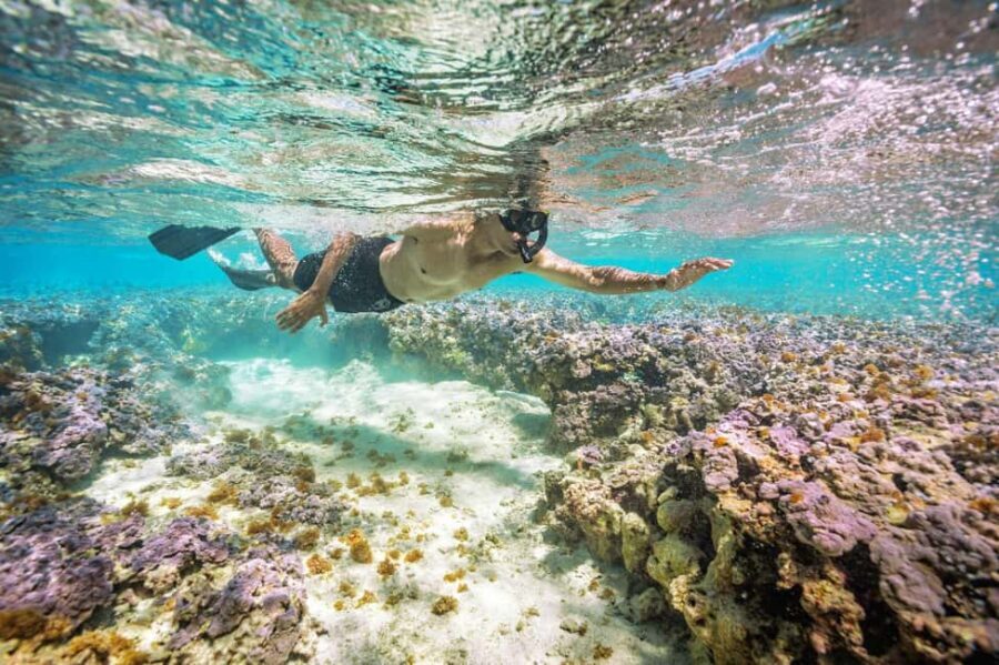 Oahu : Hanauma Bay Admission Ticket+Equipment Rental - Where you pick up the snorkeling kit in Waikiki