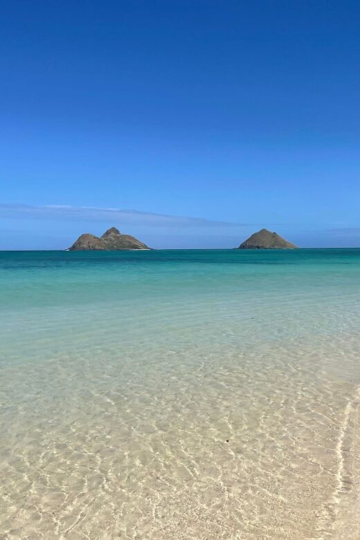 Oahu: Hidden Hawaii Waterfall Hike and Beach Tour - Why This 4-Hour Oahu Plan Works Better Than Trying to DIY