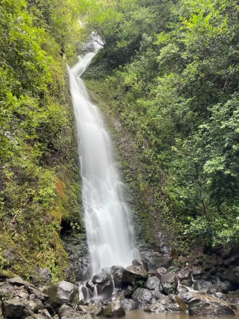 Oahu: Hidden Hawaii Waterfall Hike and Beach Tour - Lulumahu Falls: Your Waterfall Hike (and How to Do It Right)