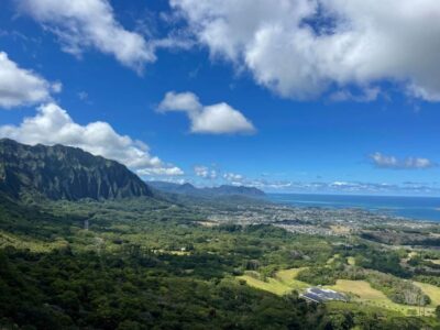 Oahu: Hidden Hawaii Waterfall Hike and Beach Tour - Pickup in Waikiki and the SUV Transfer to the Forest