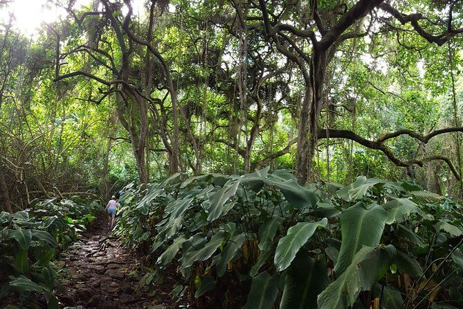 Oahu Hidden Waterfall Hike: A Tropical Paradise Adventure - Included gear vs. what you should bring anyway