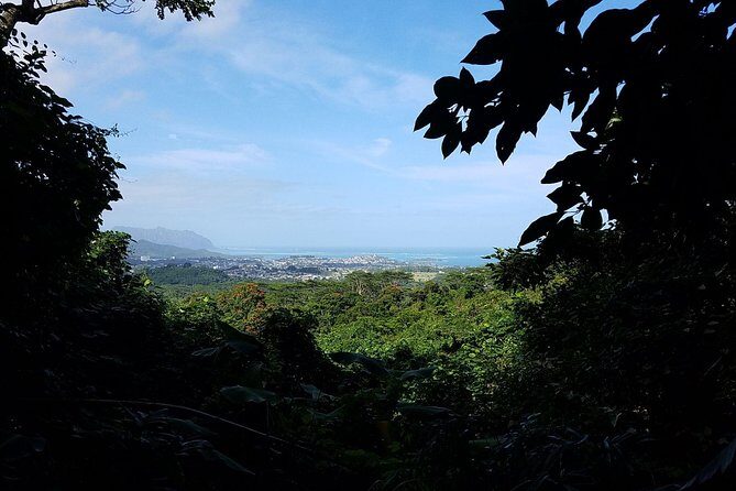 Oahu Hidden Waterfall Hike: A Tropical Paradise Adventure - Price and value: does $92.31 make sense?