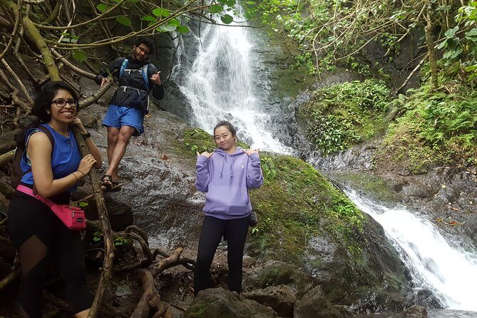 Oahu Hidden Waterfall Hike: A Tropical Paradise Adventure - The walk: under 2 miles, mild to moderate, with rain reality