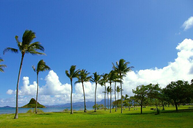 O‘ahu Highlights Private Guided Tour: Landmarks & Architecture - Waikīkī’s Kalākaua Avenue Start: Classic Honolulu Without the Guesswork
