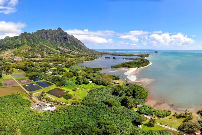 Oahu Island Full-Day Sightseeing Tour - Kahuku garlic shrimp plates and the North Shore reality check