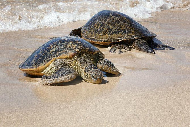 Oahu Island Photography Tour - Time on the Clock: Lunch, Breaks, and Staying Comfortable