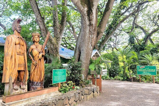 Oahu Island Sightseeing and Food Combo Tour - Key Points to Know Before You Go