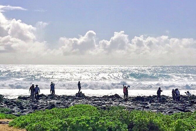 Oahu Island Sightseeing and Food Combo Tour - Halona Blowhole, Eternity Beach, and the Coastal Reality Check