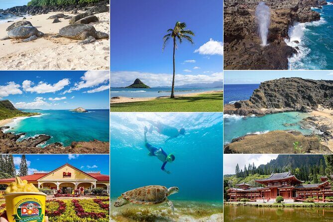 Oahu Island Tour: 13 ppl Max, Snorkel at Turtle Beach + Lunch - Key things to know before you go