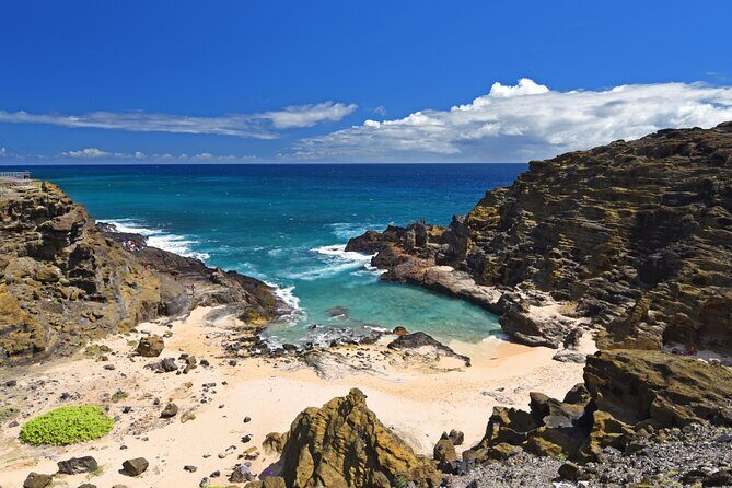 Oahu Island Tour: 13 ppl Max, Snorkel at Turtle Beach + Lunch - Dole Plantation and the North Shore Town Drive: Sweet Finish, Real Oahu Vibes