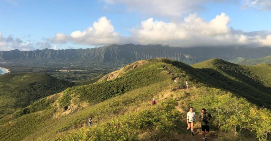 Oahu: Manoa Falls Hike and east side beach day - Southeast Scenic Stops: Lanai Lookout, Blowhole, and Makapu
