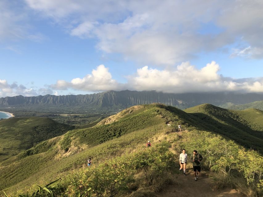 Oahu: Manoa Falls Hike and east side beach day - The Van Ride With a Guide Who Talks Story