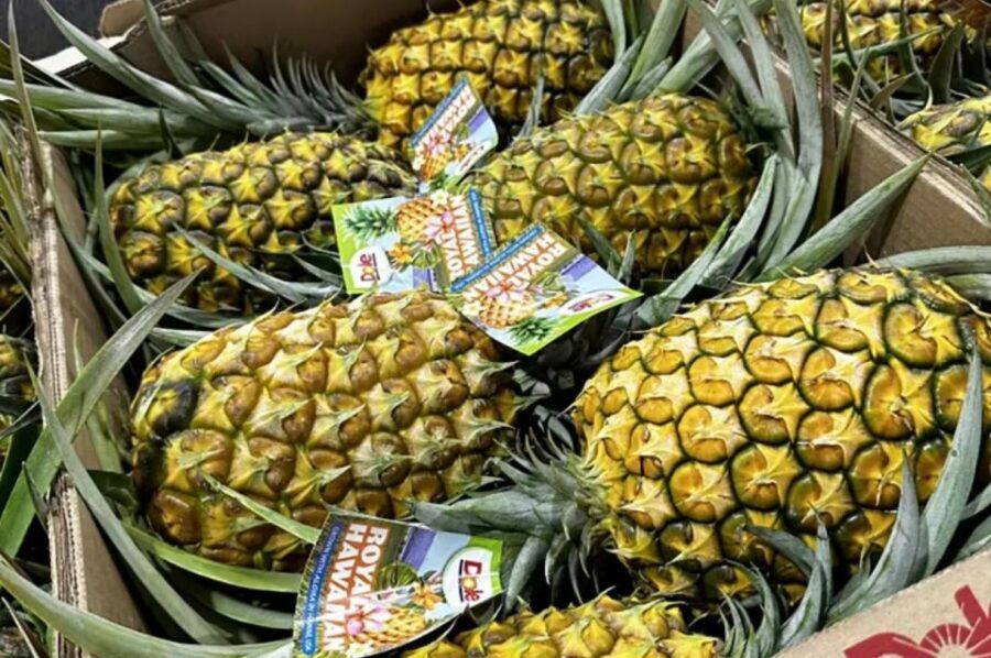 Oahu: North Shore Dole Pineapple Farm Tour - Greenworld Coffee Farms: A Tasty Warm-Up with Real Local Texture