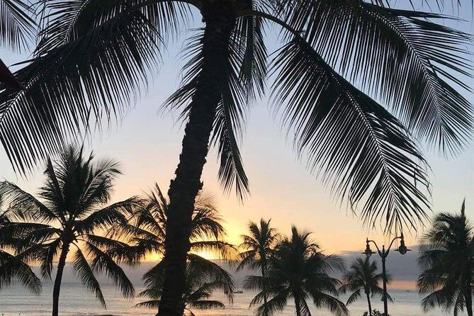 Oahu Personalized Private Tour - Pickup, Mercedes comfort, and how the pacing works