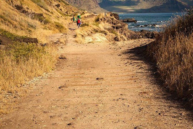 Oahu Personalized Private Tour - Tropical Farms macadamia tasting and the kind of souvenir stop that earns its spot