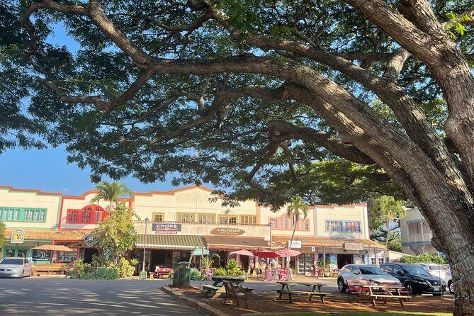 Oahu Private Tour North Shore, Waimea Falls and Dole Plantation - Waimea Falls: the best payoff and the fee you should plan for