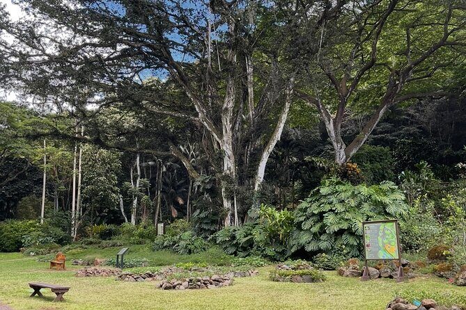 Oahu Private Tour North Shore, Waimea Falls and Dole Plantation - Sunset Beach, Waimea Bay, and the surf-zone road map