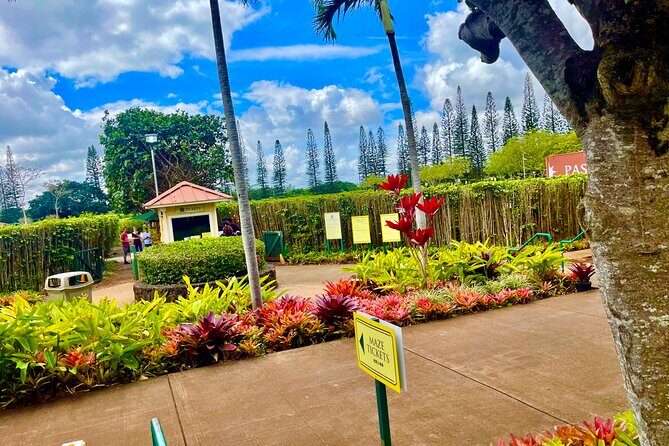 Oahu: Roundtrip Shuttle From Waikiki to Dole Plantation & Haleiwa - Key Points to Know Before You Go