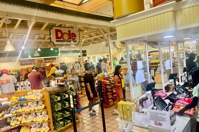 Oahu: Roundtrip Shuttle From Waikiki to Dole Plantation & Haleiwa - The Bus Experience: Guides, Pace, and Why People Like the Day