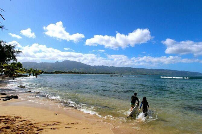 Oahu: Roundtrip Shuttle From Waikiki to Dole Plantation & Haleiwa - Price and Value: What $30.25 Buys You