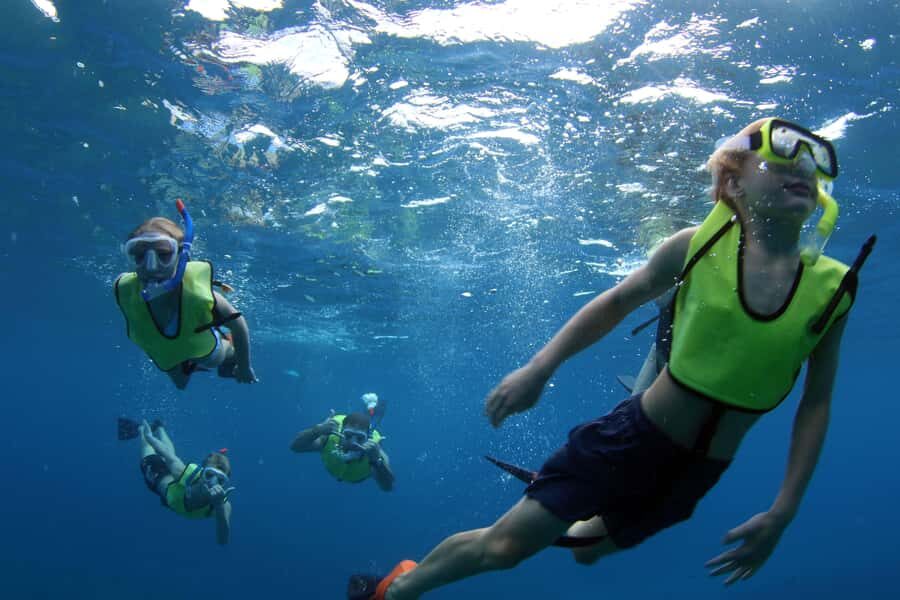 Oahu: Snorkeling & Dolphin Watch Cruise w/ Luau Style Buffet - The guided snorkeling portion: how it works on this tour