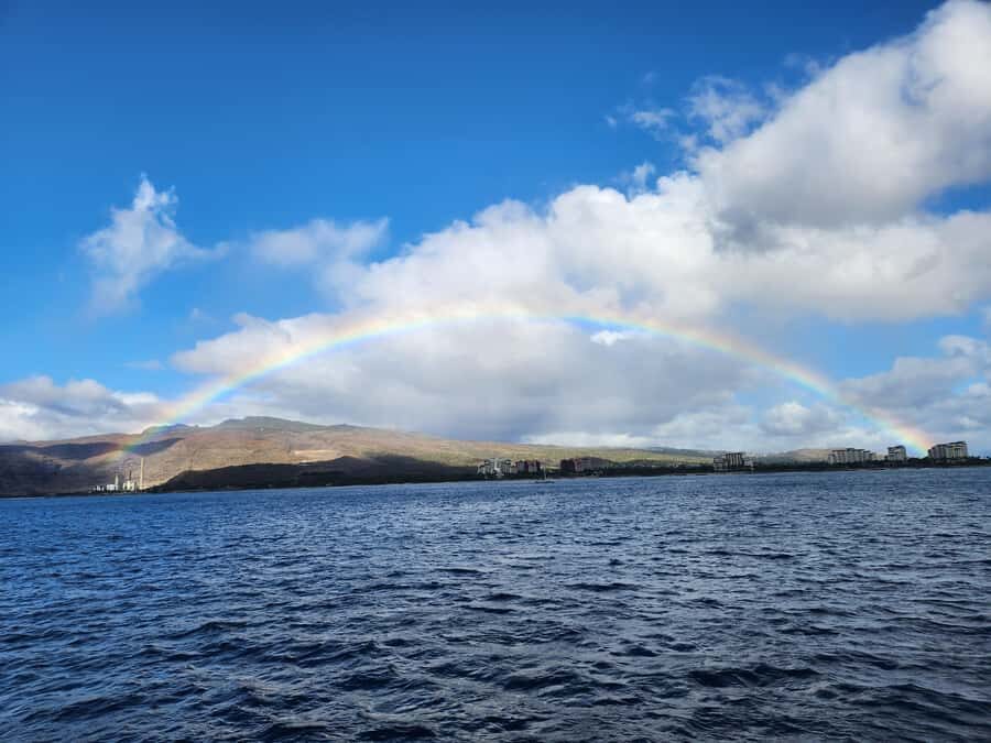 Oahu: Snorkeling & Dolphin Watch Cruise with Hawaiian Buffet - Key things you’ll notice on this Wai‘anae snorkeling and dolphin cruise