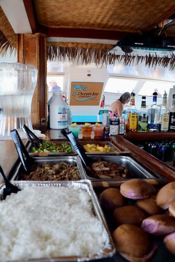 Oahu: Snorkeling & Dolphin Watch Cruise with Hawaiian Buffet - Dolphins and whales: what you should expect to see