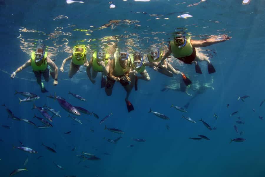Oahu: Snorkeling & Dolphin Watch Cruise with Hawaiian Buffet - Who should book this cruise, and who should think twice