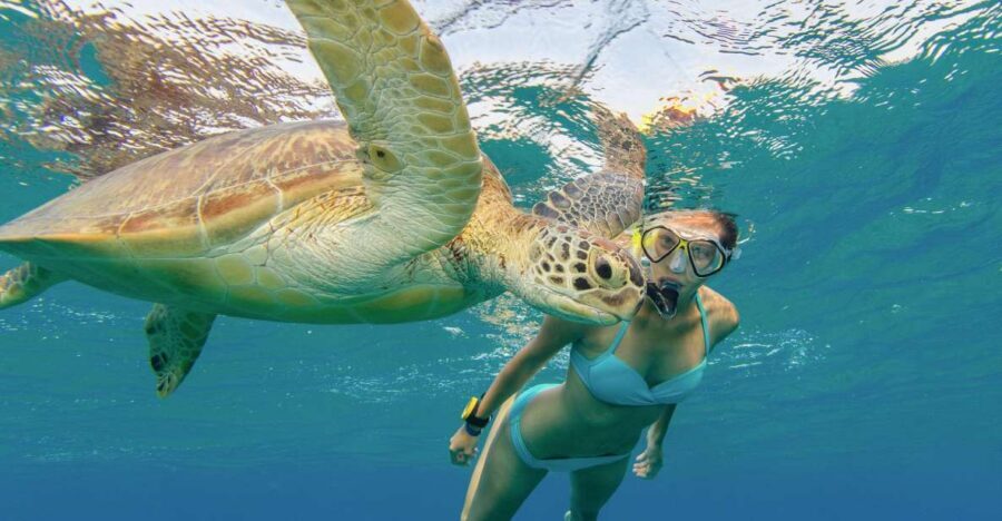 Oahu Snorkeling with Turtles, Water Scooter, Paddleboard - Paddleboard on Open Water: Included, but Confirm the Setup