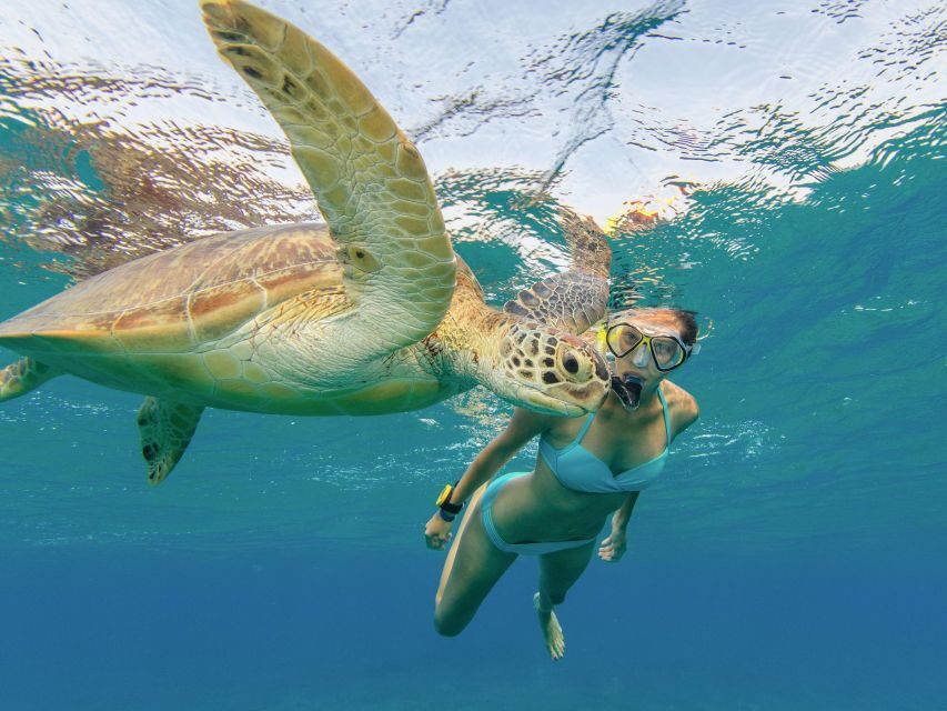 Oahu Snorkeling with Turtles, Water Scooter, Paddleboard - Photos, GoPro Options, and What You’ll Actually Take Home