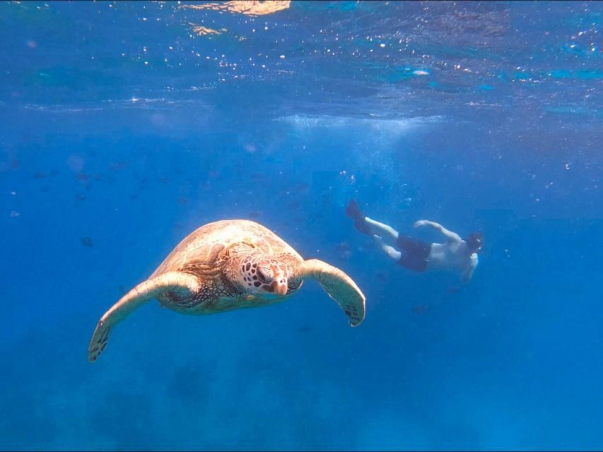 Oahu Snorkeling with Turtles, Water Scooter, Paddleboard - Price and Value: Is $120 Worth It?